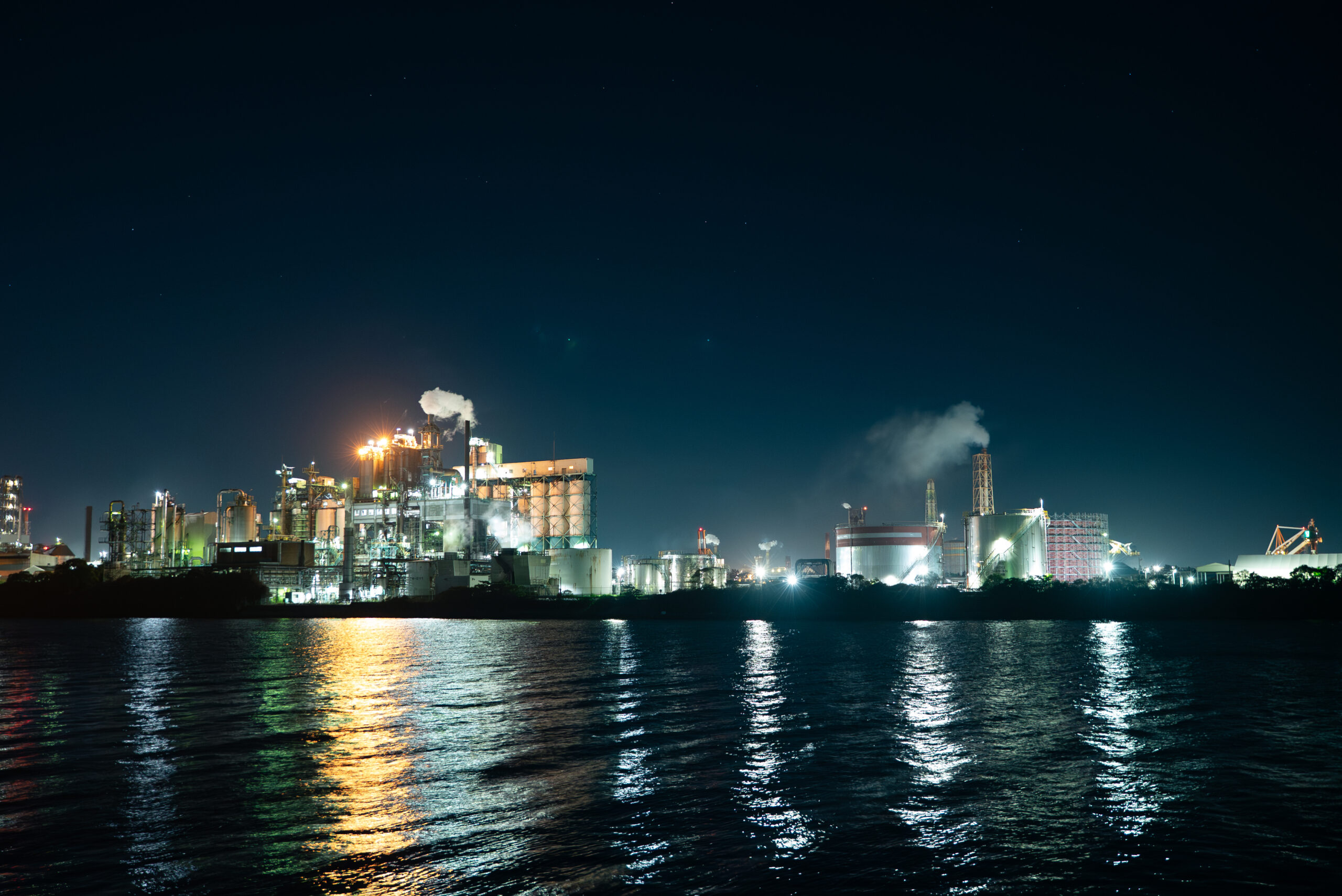Night View Cruise