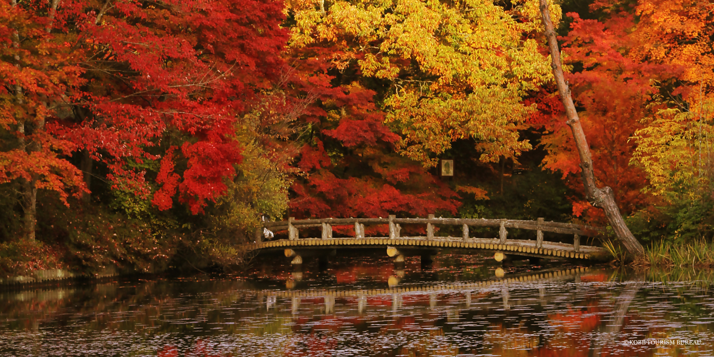 Official Tourist Information