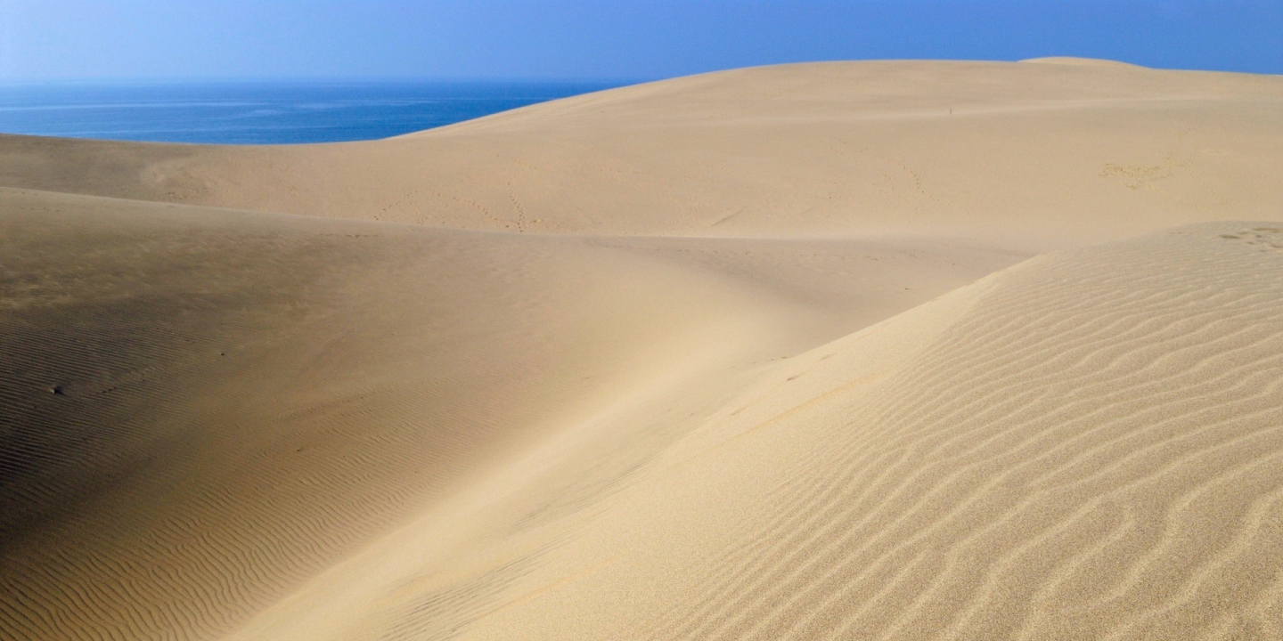 Official Tourist Information