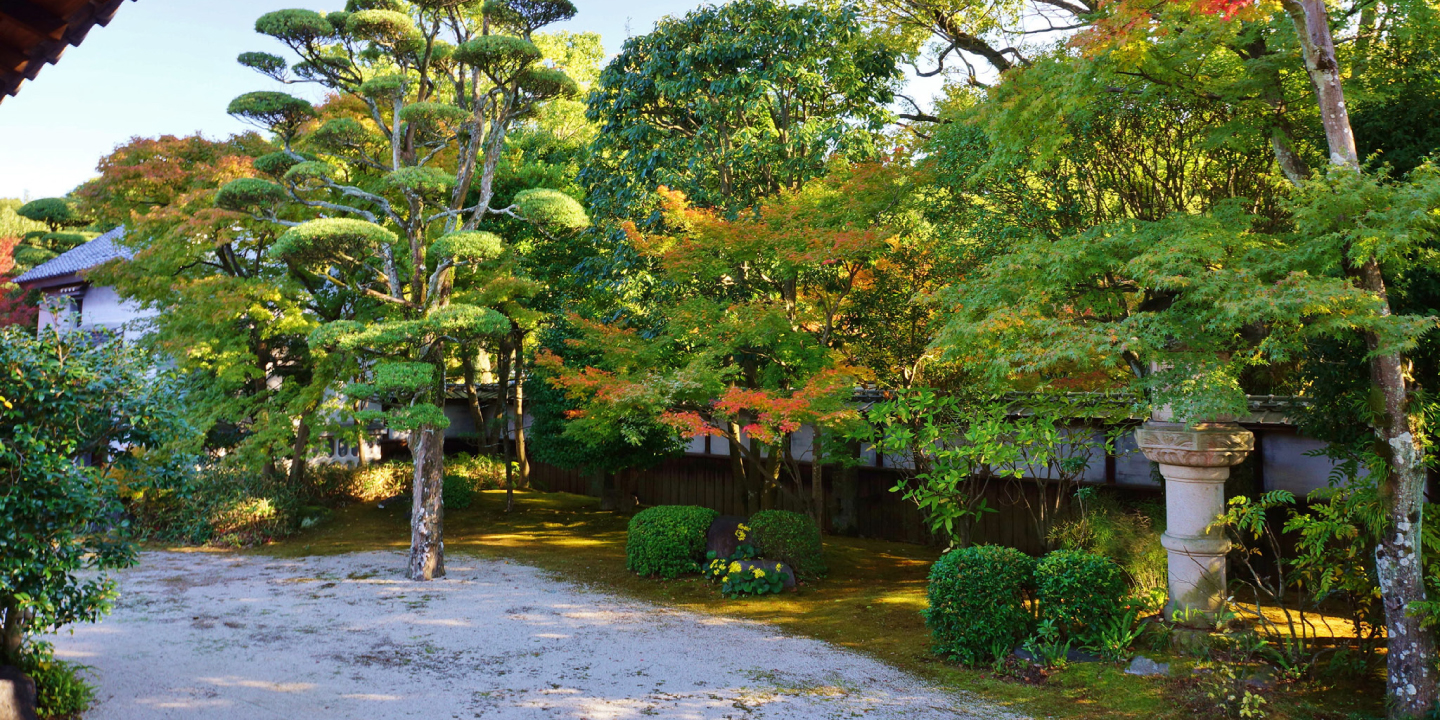 Official Tourist Information