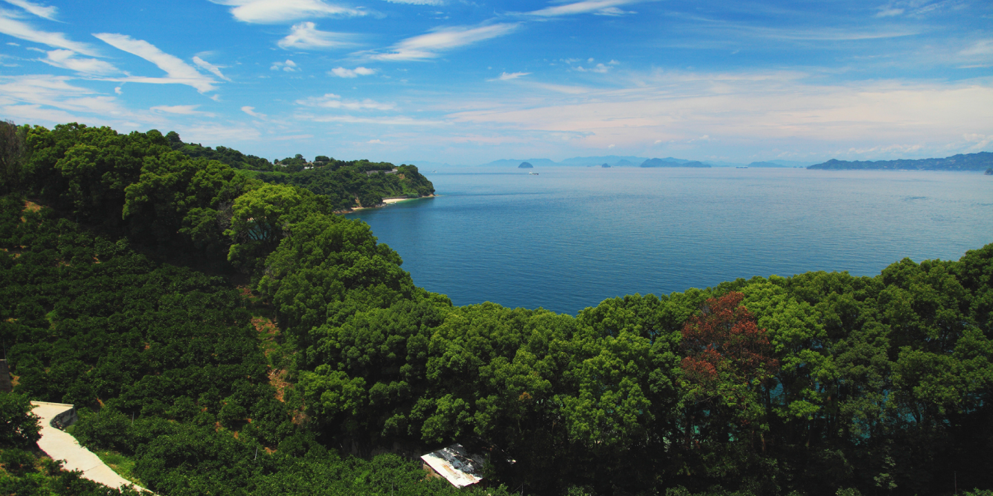 Official Tourist Information