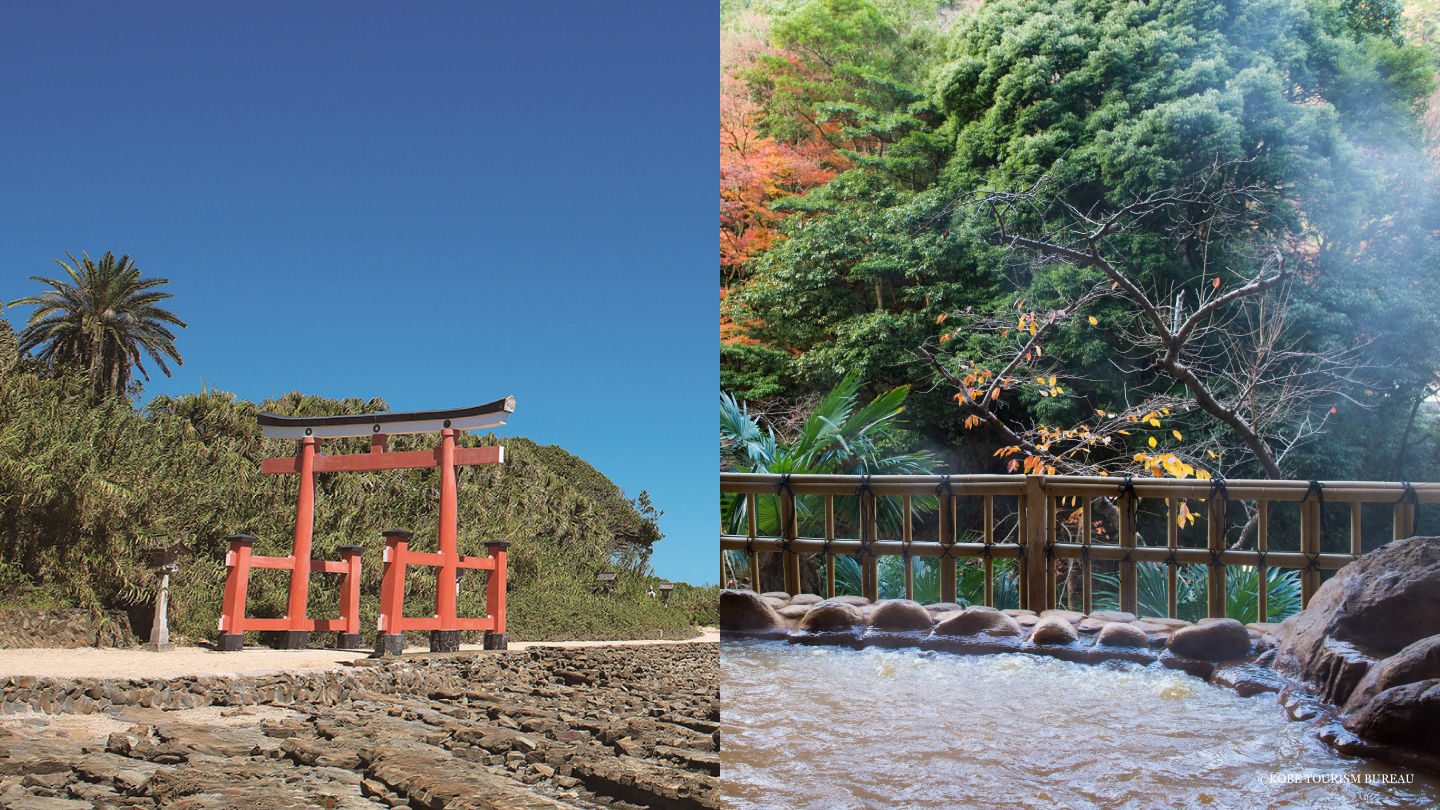From Port to Port, a Journey of Japanese Sentiment