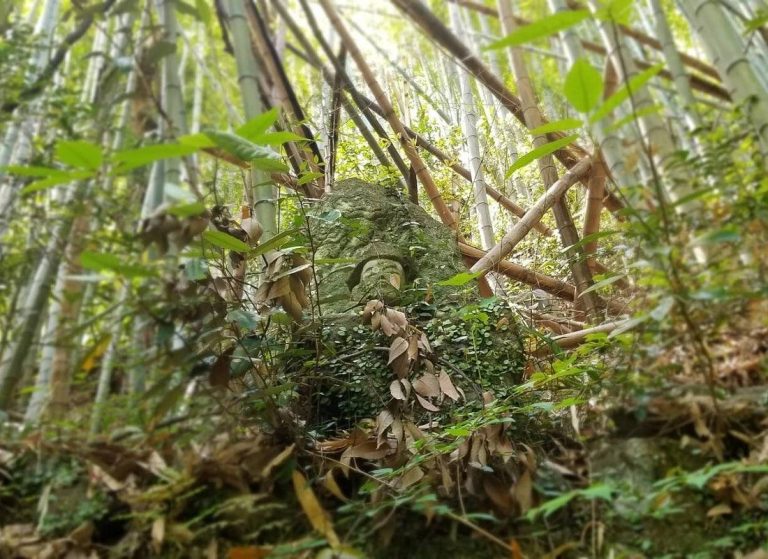 Discover 270 Buddha Statues on a 1,280-year-old Pilgrimage Route