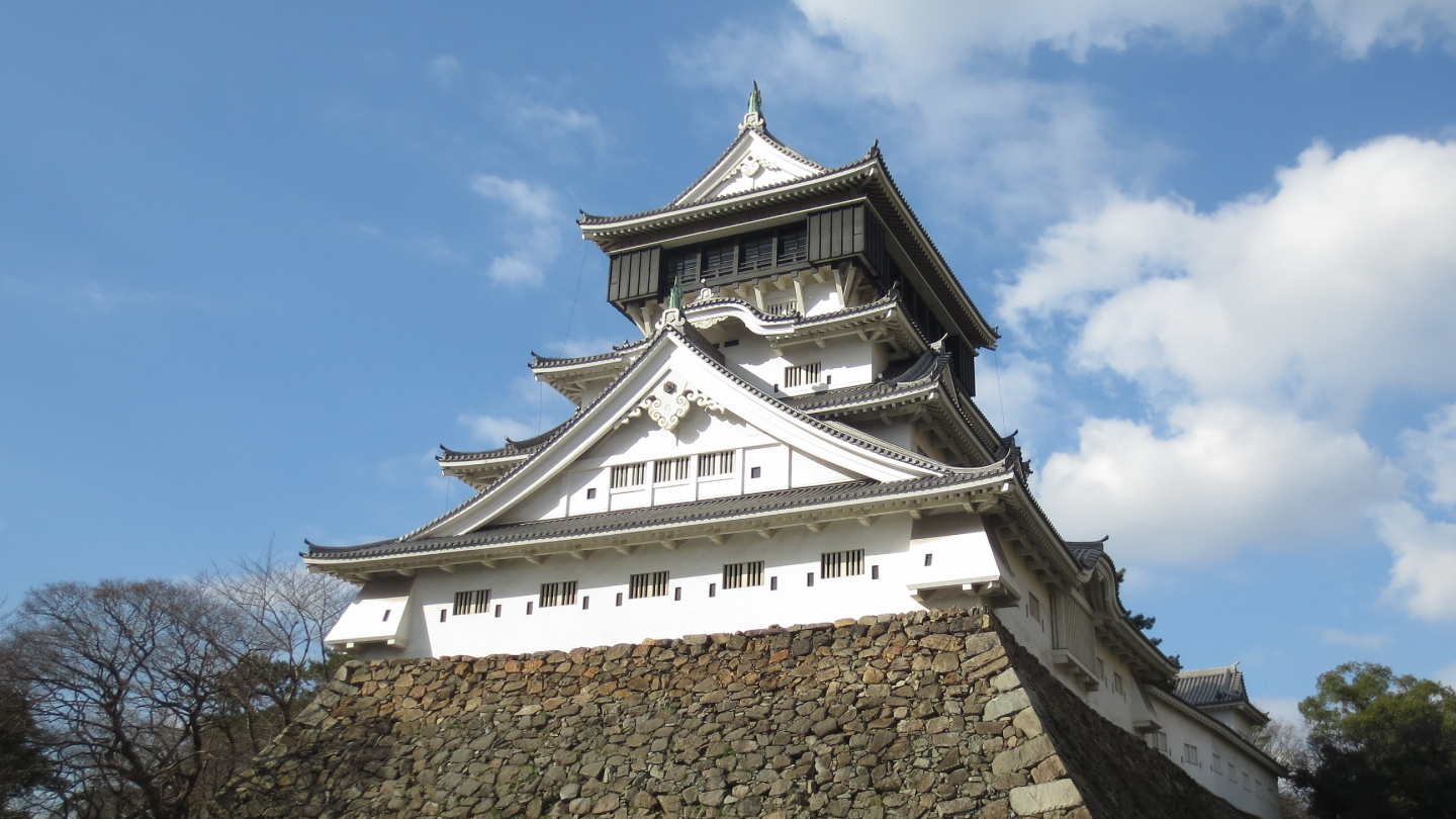 Explore the Dynamism of Nature