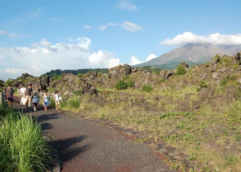 Kagoshima Virtual Reality Walk Activity
