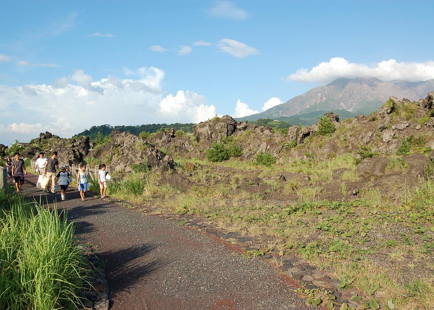 Kagoshima Virtual Reality Walk Activity