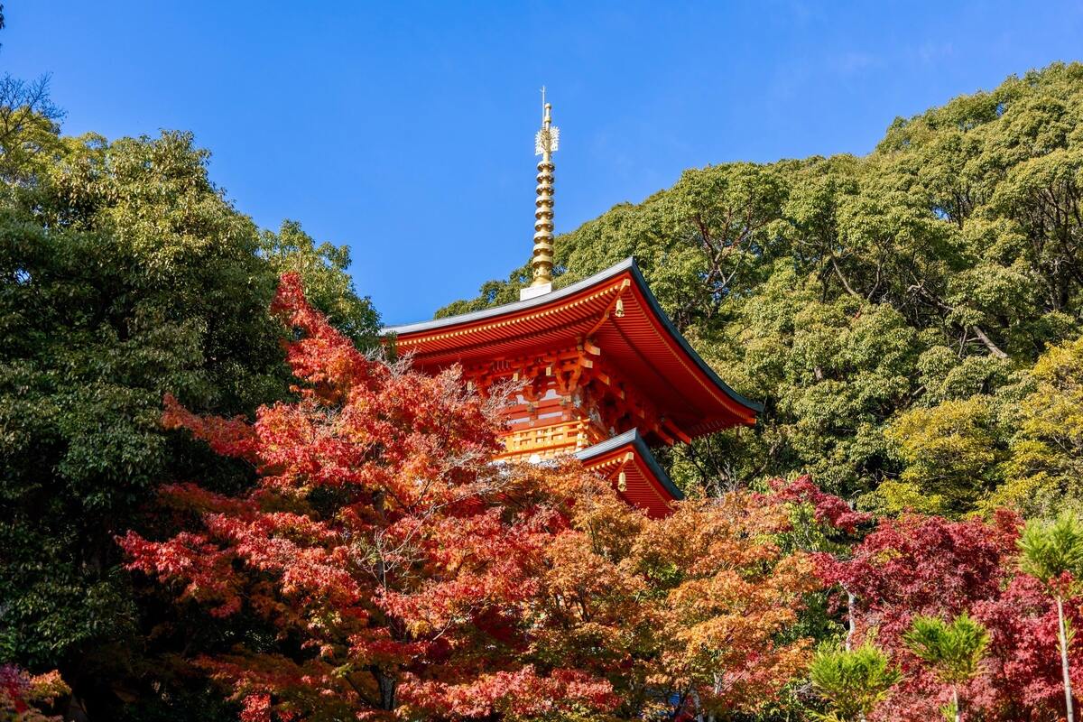 Sumadera Temple Visit and Ichigen Sumagoto Live Performance & Playing Experience