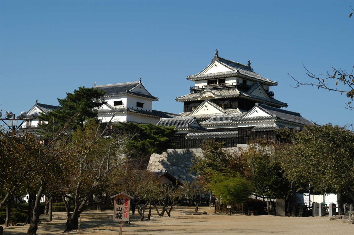 Matsuyama Castle Special Package