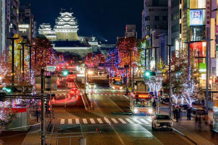 Himeji Otemae Street Illumination