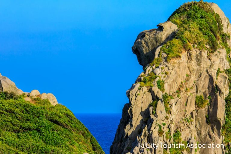 Saruiwa（Monkey Rock）