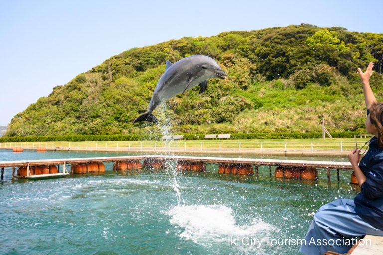 Dolphin Park & Resort