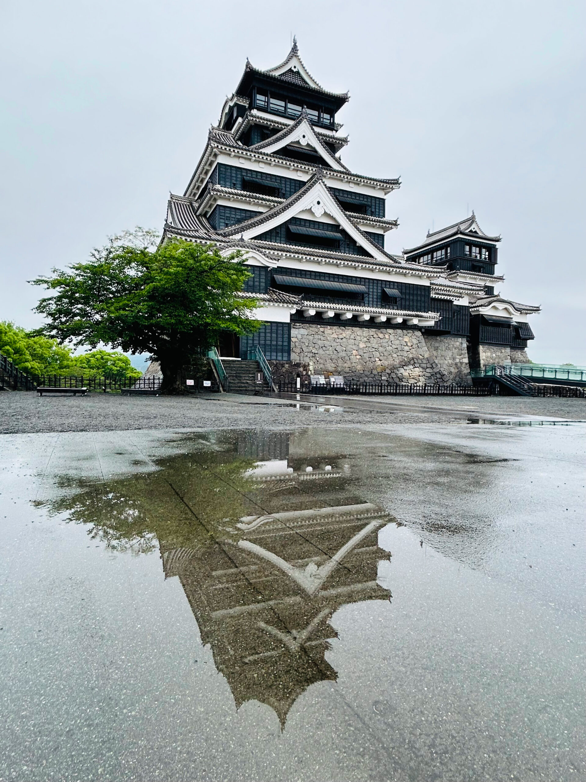 Experience the Four Seasons of Japan Along With Kumamoto Castle