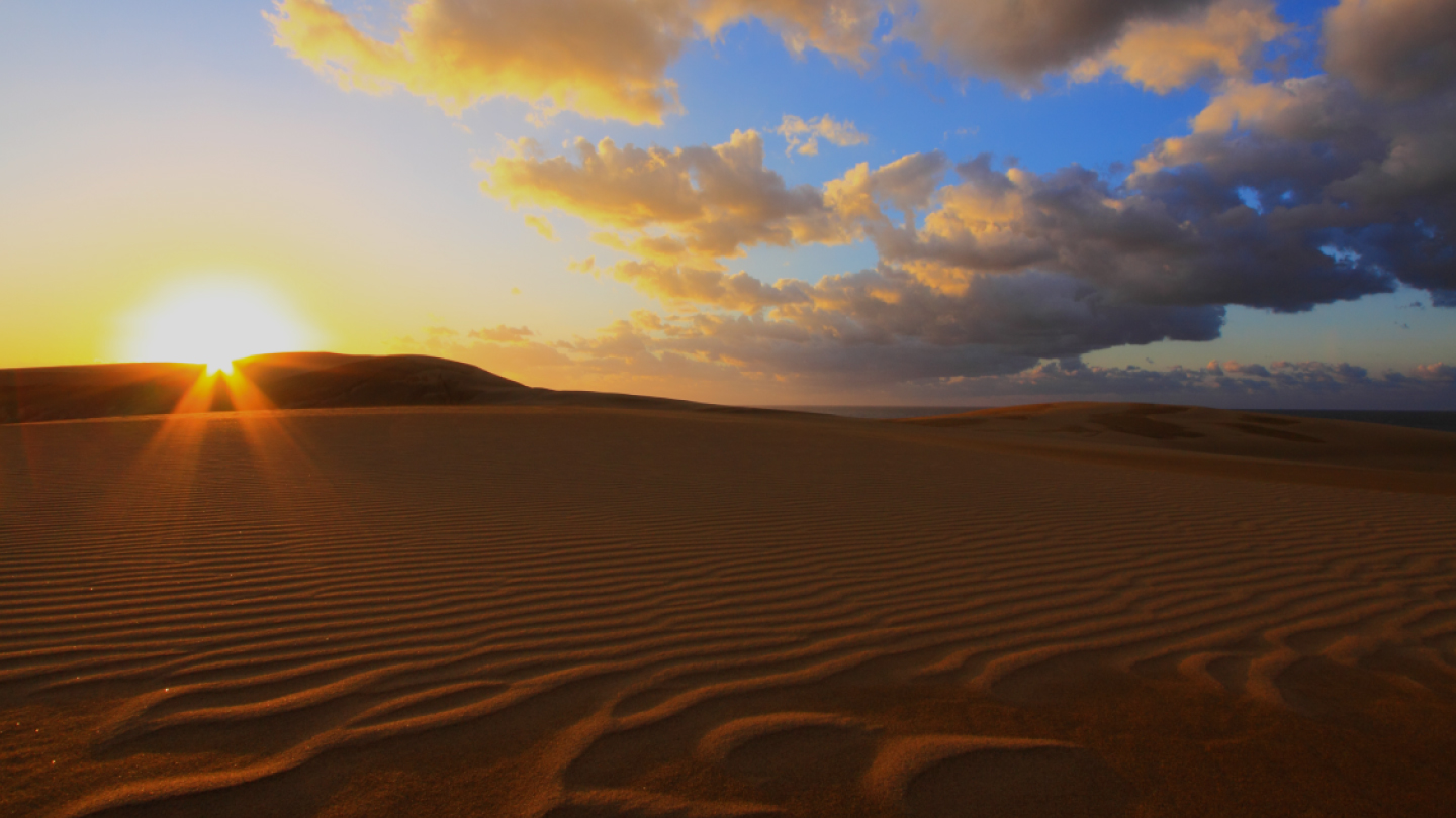 Explore the Dynamism of Nature