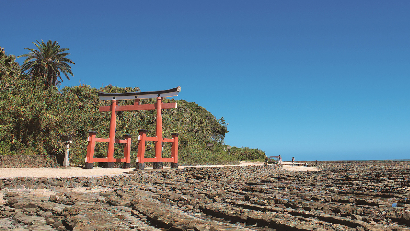 From Port to Port, a Journey of Japanese Sentiment