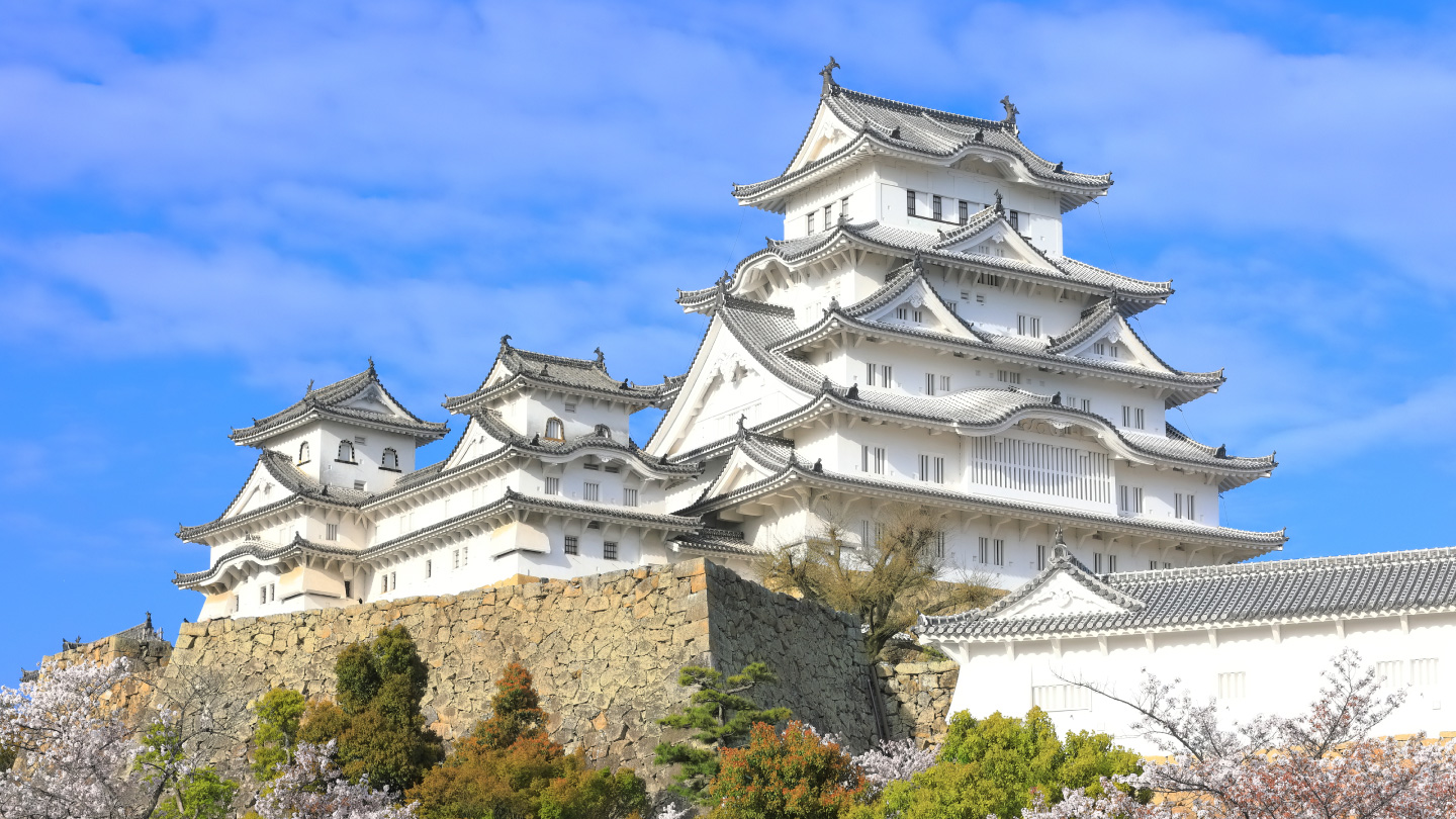 Explore the Dynamism of Nature