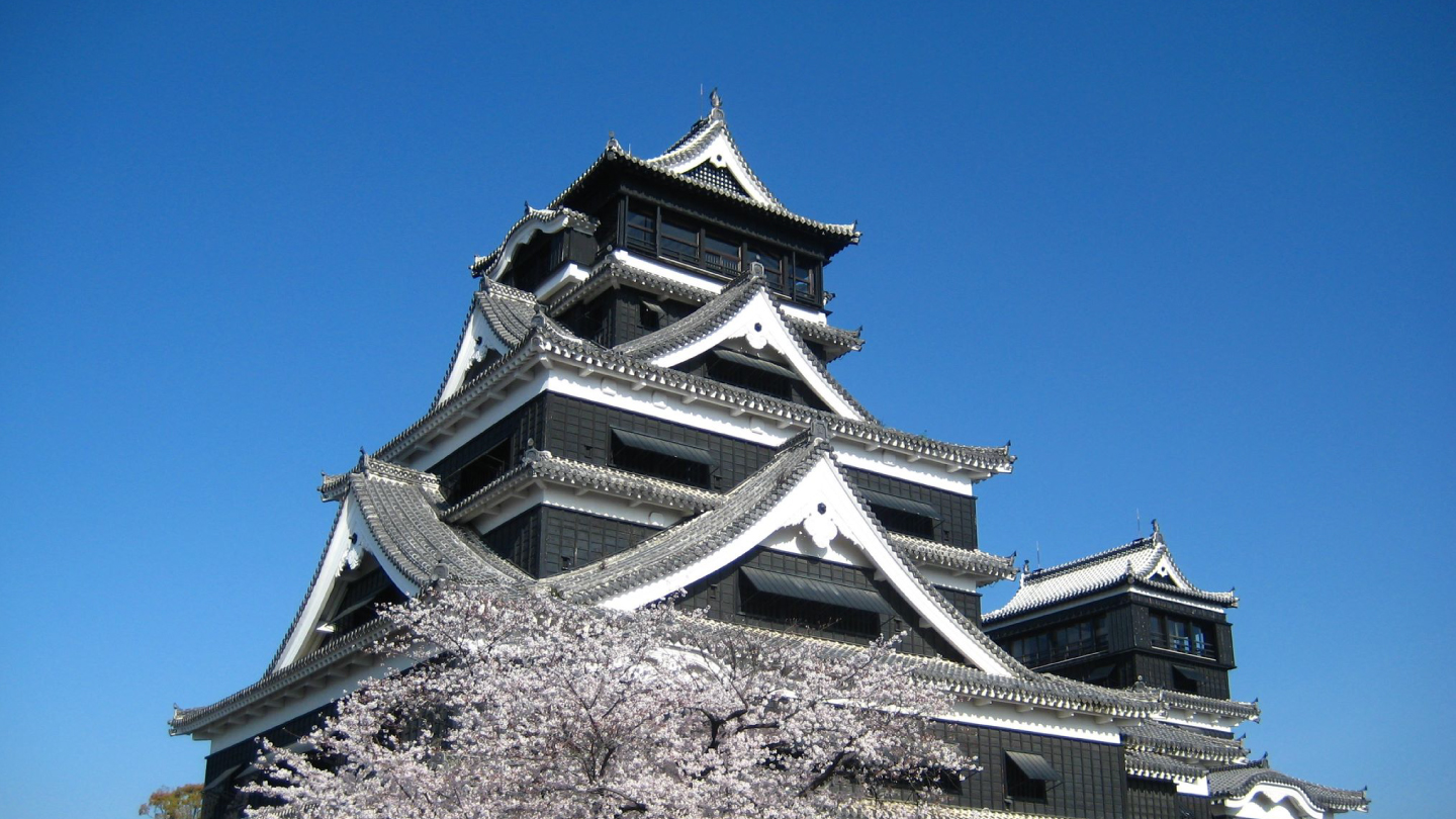 Explore the Dynamism of Nature