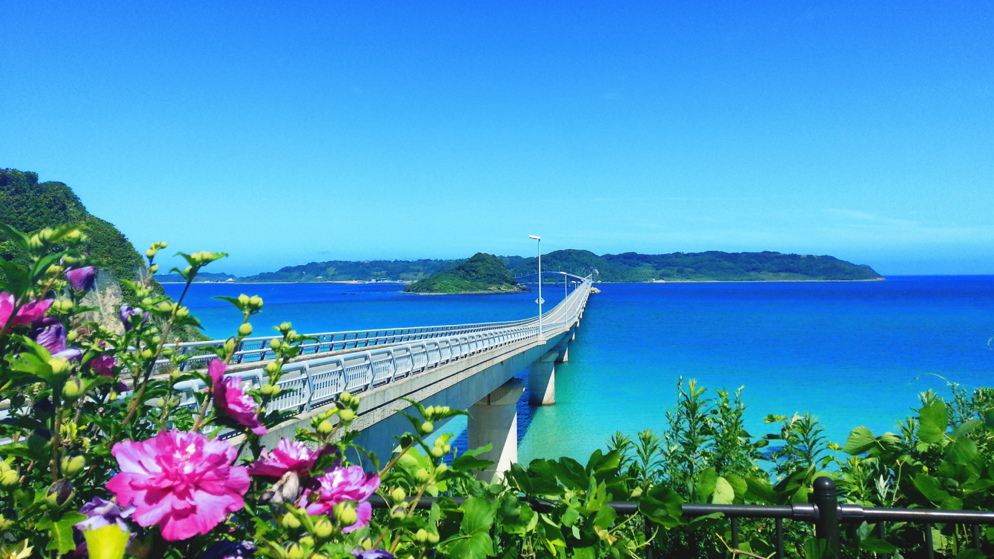 Explore the Dynamism of Nature