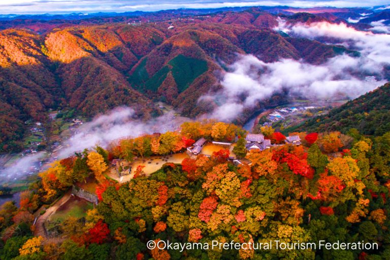 Bitchu Matsuyama Castle