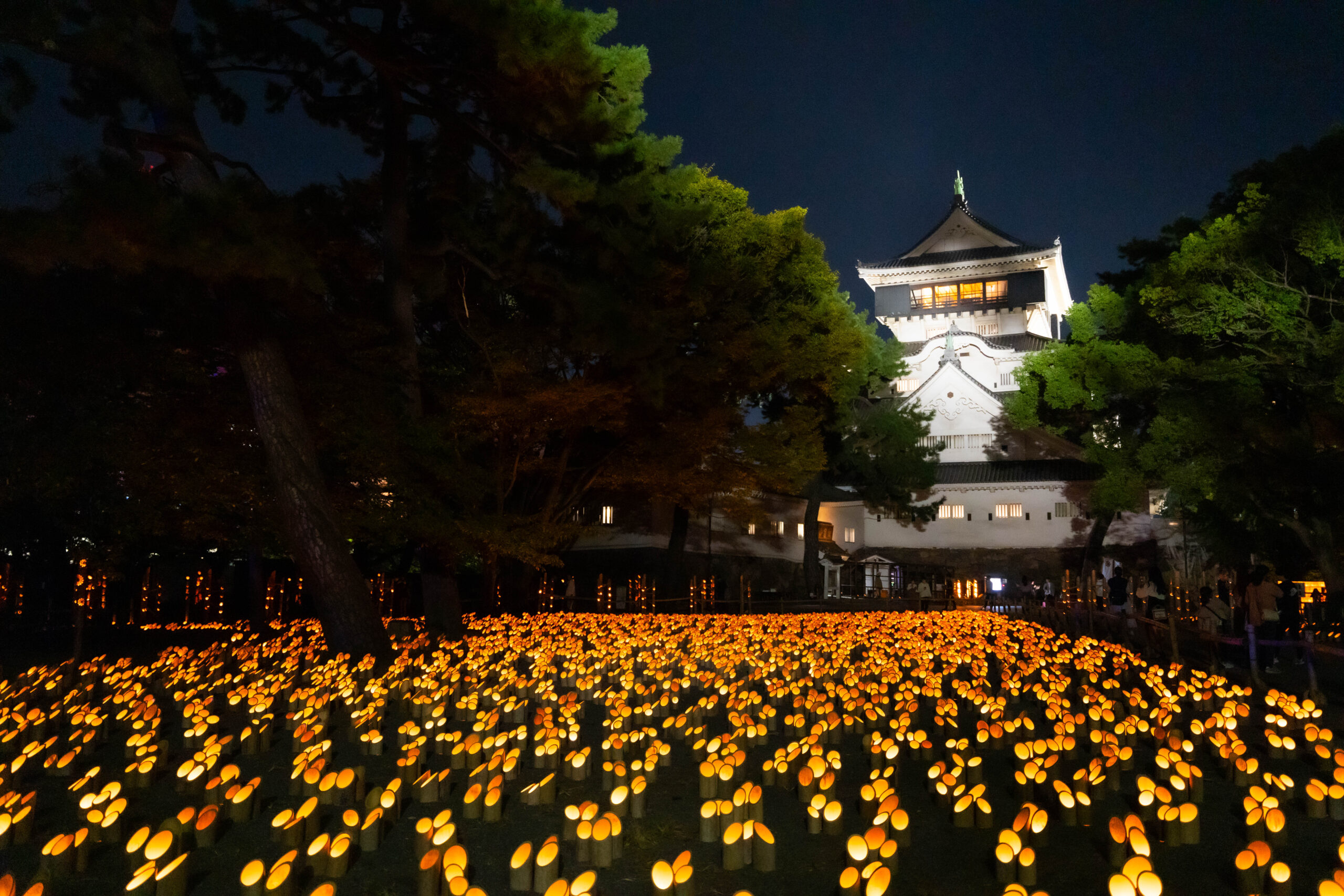 Thirty Thousand Lanterns, Cut From a Problem