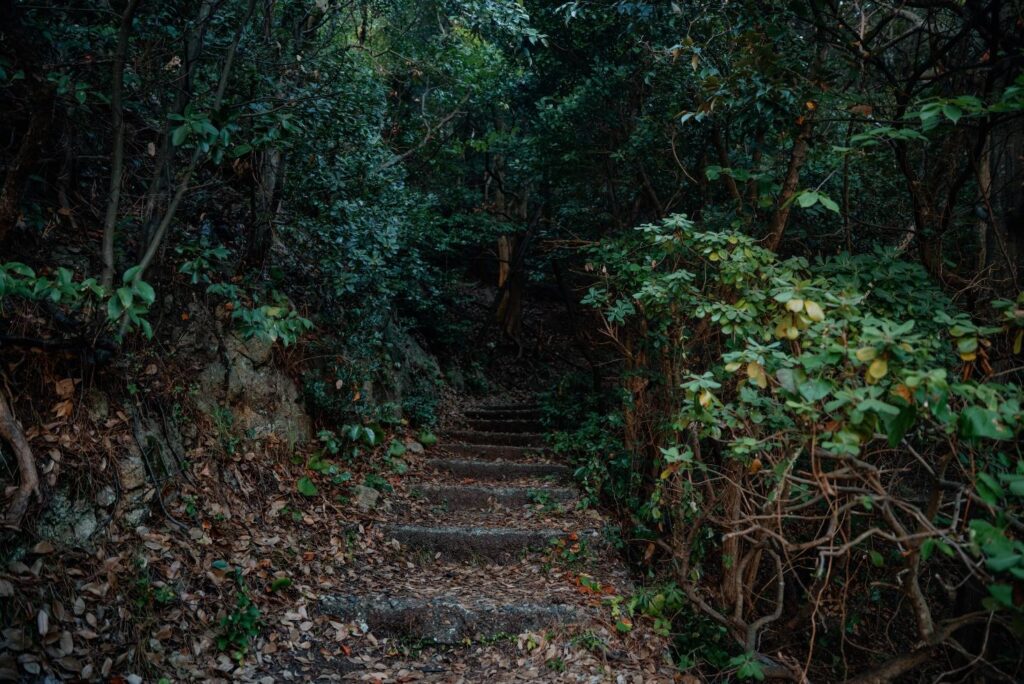 The entrance to the Uradome Coast nature trail at dusk